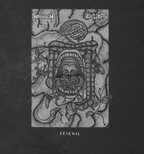 Renewal (Split) ( Vinyl ) { Vinyl }