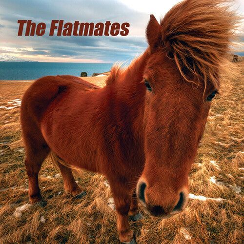 Flatmates ( Vinyl ) { Vinyl }