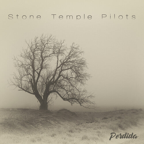 Perdida ( Vinyl ) {Vinyl } { Vinyl }