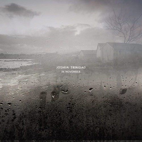 In November ( Vinyl ) { Vinyl }
