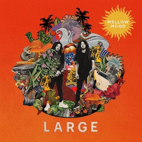 Large ( Vinyl ) { Vinyl }