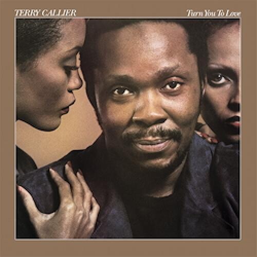 Turn You to Love ( Vinyl ) {Vinyl } { Vinyl }