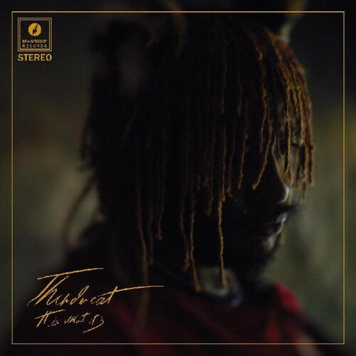It Is What It Is ( Vinyl ) {Vinyl } { Vinyl }