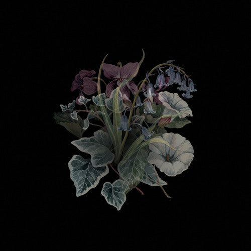 Wildflowers ( Vinyl ) {Vinyl } { Vinyl }