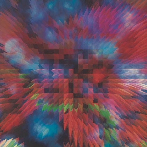 Worship the Glitch ( Vinyl ) { Vinyl }