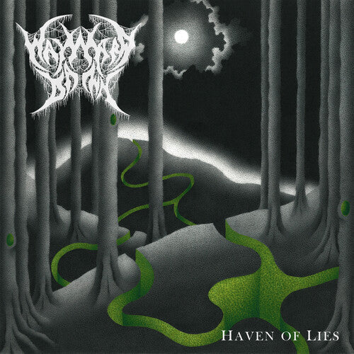 Haven of Lies ( Vinyl ) { Vinyl }