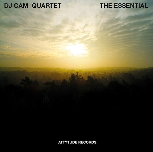 Essential ( Vinyl ) {Vinyl } { Vinyl }