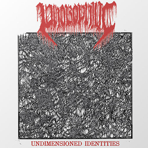 Undimensioned Identities ( Vinyl ) {Vinyl } { Vinyl }