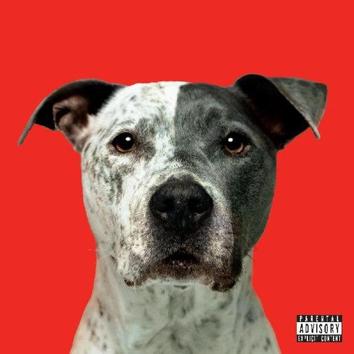 Flight ( Vinyl ) {Vinyl } { Vinyl }