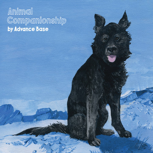 Animal Companionship ( Vinyl ) { Vinyl }