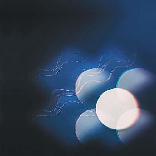 Thunder Follows the Light ( Vinyl ) {Vinyl } { Vinyl }