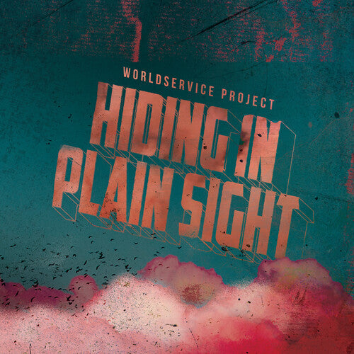 Hiding In Plain Sight ( Vinyl ) { Vinyl }