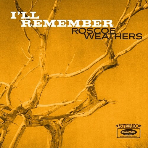 I'Ll Remember ( Vinyl ) { Vinyl }