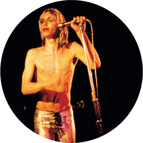 More Power - a Gorgeous Picture Disc Vinyl ( Vinyl ) { Vinyl }