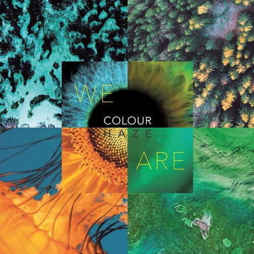 We Are ( Vinyl ) { Vinyl }