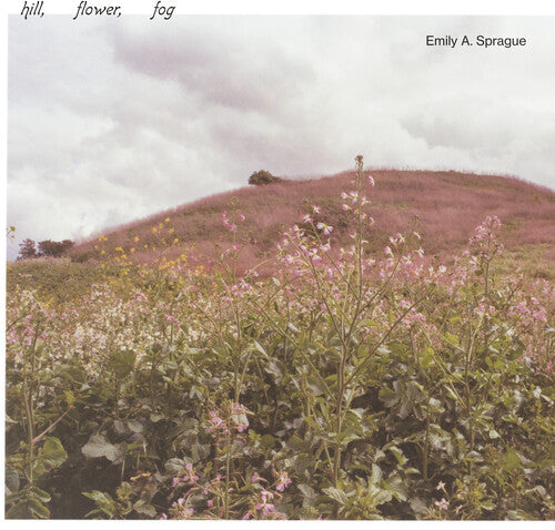Hill Flower Fog ( Vinyl ) { Vinyl }