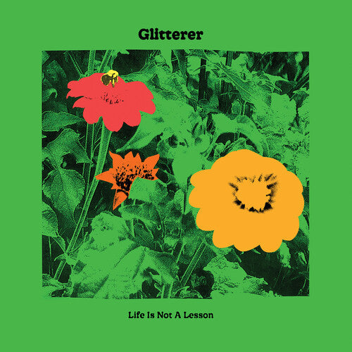 Life Is Not a Lesson ( Vinyl ) { Vinyl }