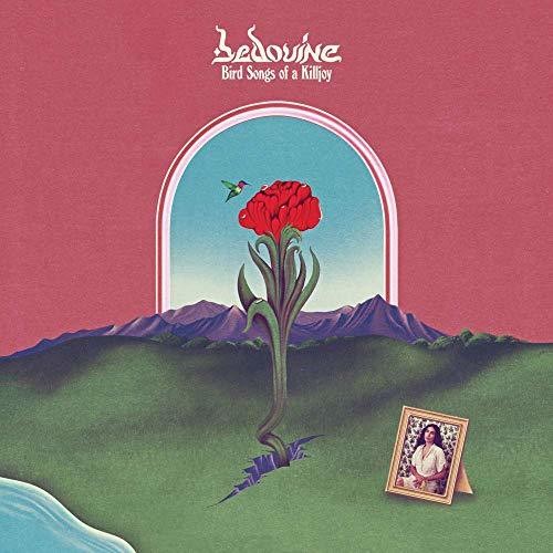 Bird Songs of a Killjoy ( Vinyl ) { Vinyl }