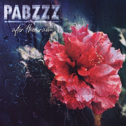 After the Rain ( Vinyl ) { Vinyl }