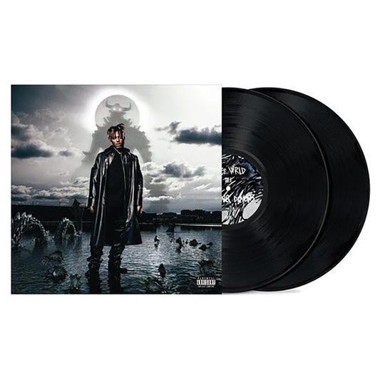 Fighting Demons ( Vinyl ) { Vinyl }