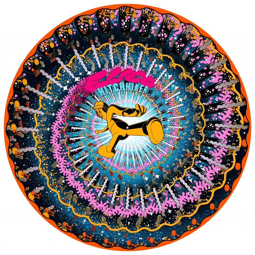 Hitchhiker (Zoetrope Picture Disc) ( Vinyl ) { Vinyl }