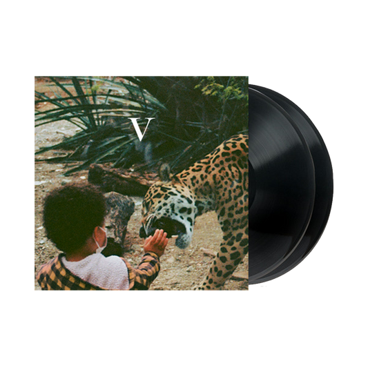V ( Vinyl ) { Vinyl }