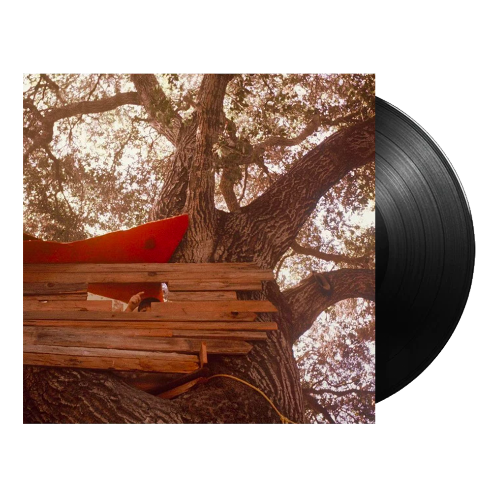 Waiting to Spill ( Vinyl ) { Vinyl }