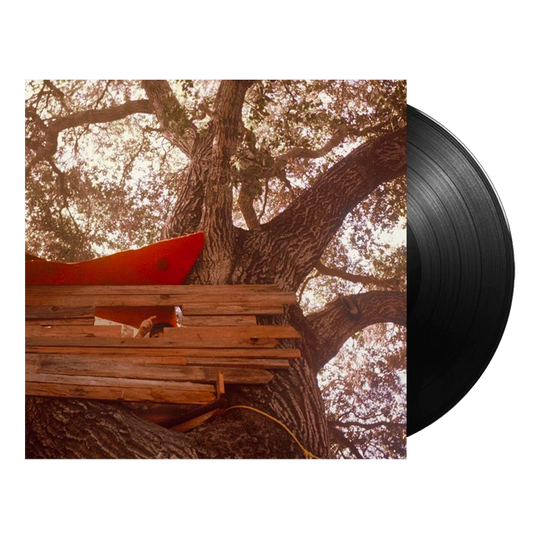 Waiting to Spill ( Vinyl ) { Vinyl }